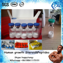 Tren Serie Test Serie Menschliches Wachstum Pulver Steroid